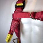 cr04_detalle_3-1-scaled