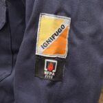 PEGASO DINAMO INSIGNIAS