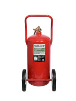 ab-agua-espuma-carro-70